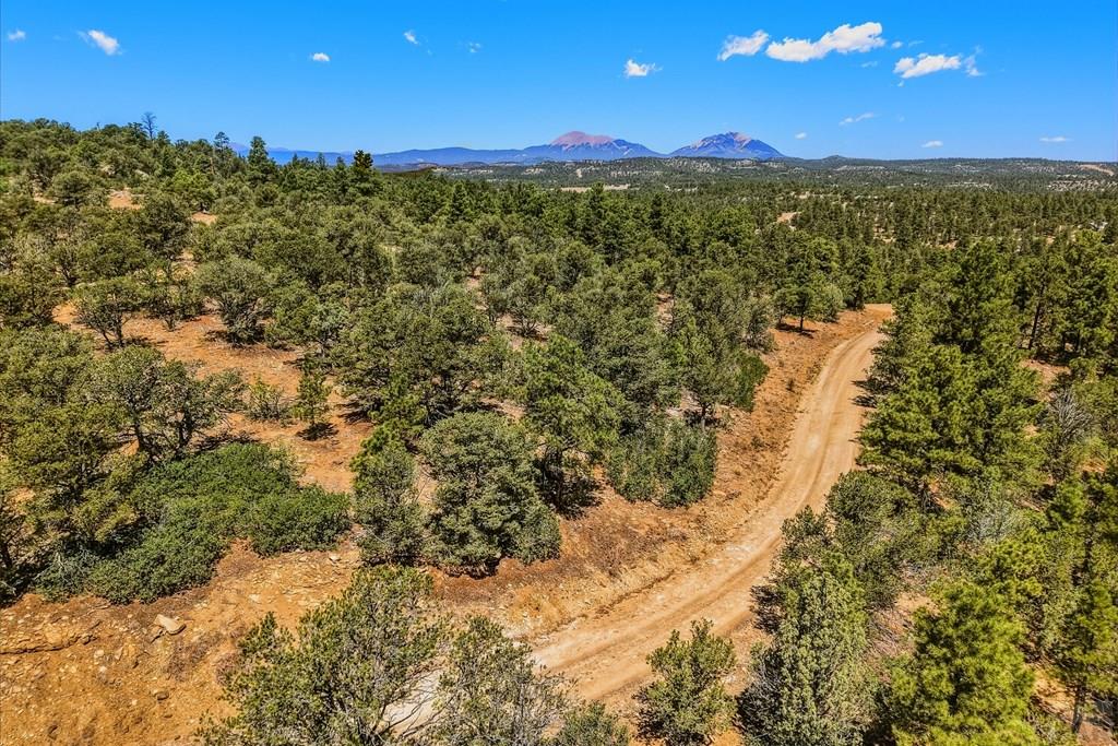24900 County Road Boncarbo, CO 81024 - Photo 47 of 52