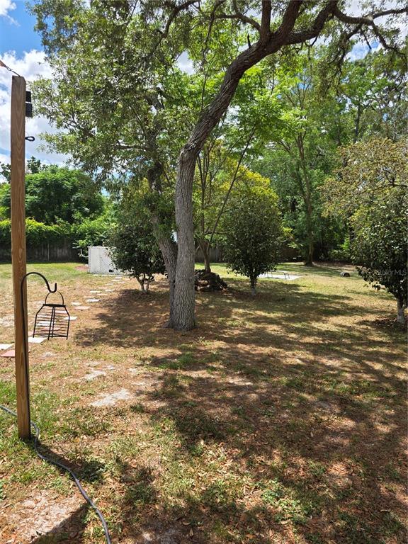 12532 Coronado Drive Spring Hill, FL 34609 - Photo 29 of 32