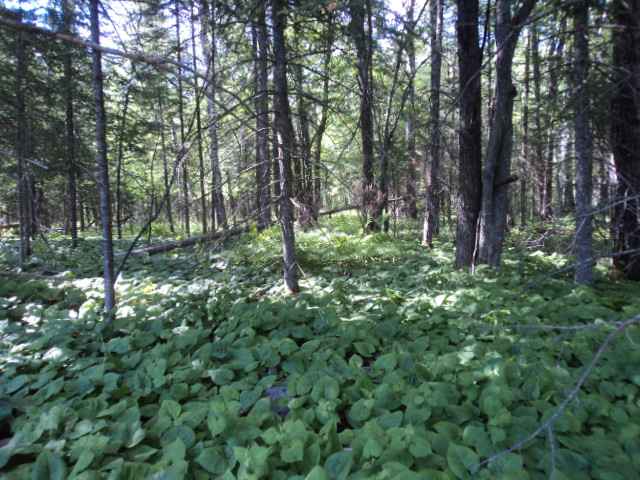 4865 McComber Road Duluth, MN 55803 - Photo 8 of 12