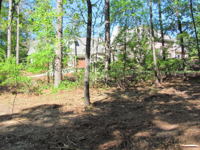 201 Lady Banks Road Aiken, SC 29803 - Photo 5 of 6