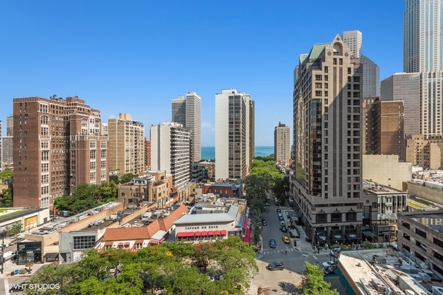 1030 North State Street, Unit 7E Chicago, IL 60610 - Photo 11 of 13