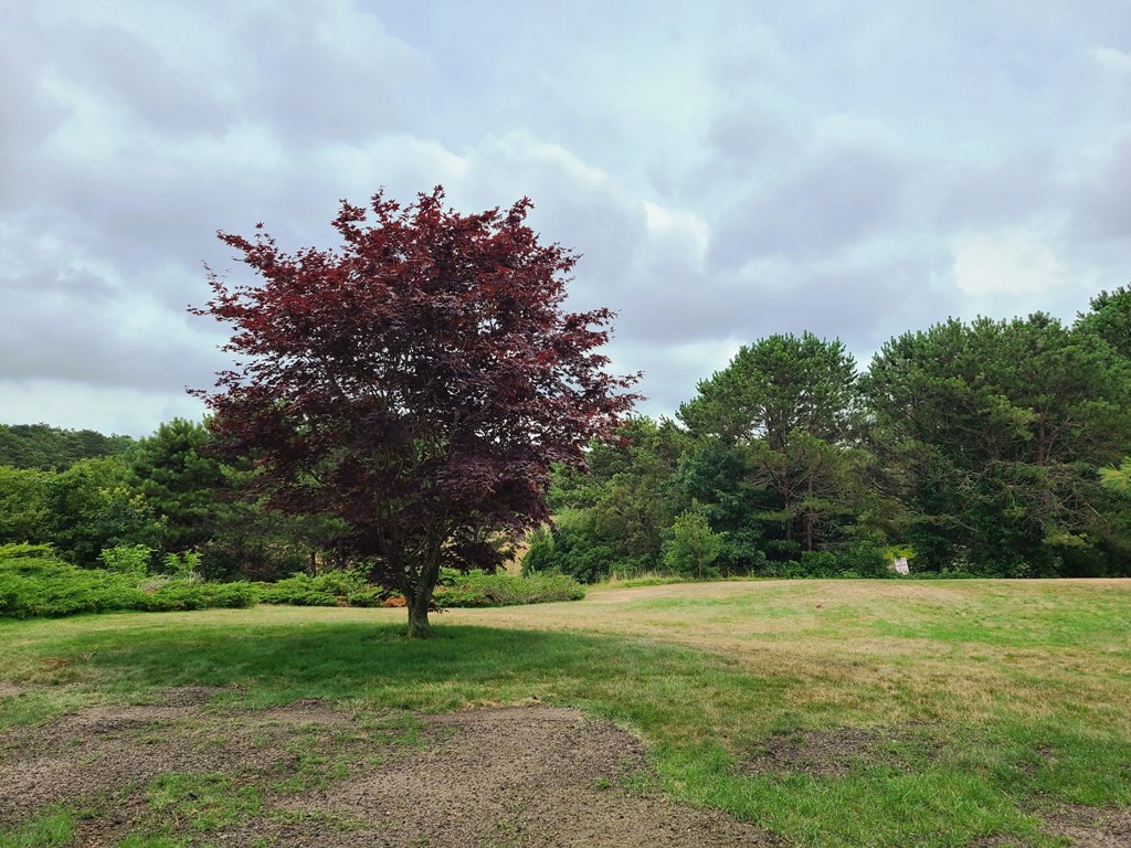 174 Lowell Road, Unit 62 Mashpee, MA 02649 - Photo 28 of 30 a big yard with lots of green space