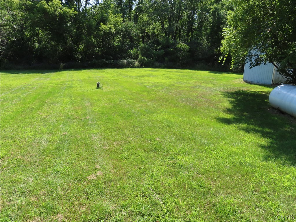 4886 Shepard Road Marcellus, NY 13108 - Photo 27 of 41 rear Yard