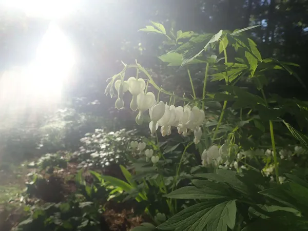 $499,000 | 38 Main Street, Lisbon Falls, ME 04252