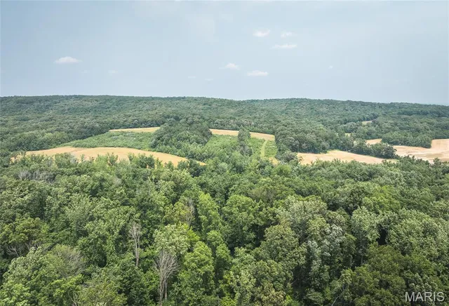 $1,800,000 | 3485 Coyle Lane, Equality, IL 62934