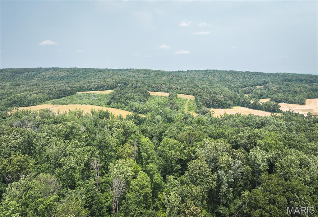 3485 Coyle Lane Equality, IL 62934 - Photo 1 of 58