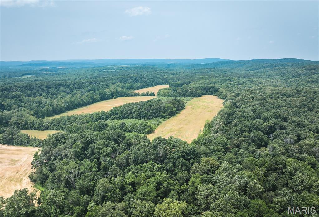 3485 Coyle Lane Equality, IL 62934 - Photo 11 of 58