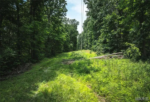 $1,800,000 | 3485 Coyle Lane, Equality, IL 62934