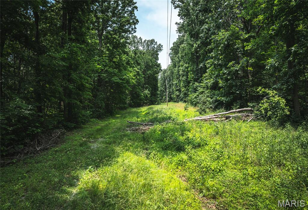 3485 Coyle Lane Equality, IL 62934 - Photo 14 of 58