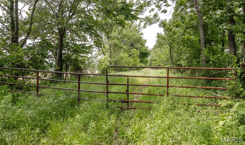 3485 Coyle Lane Equality, IL 62934 - Photo 35 of 58