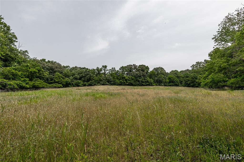 3485 Coyle Lane Equality, IL 62934 - Photo 36 of 58