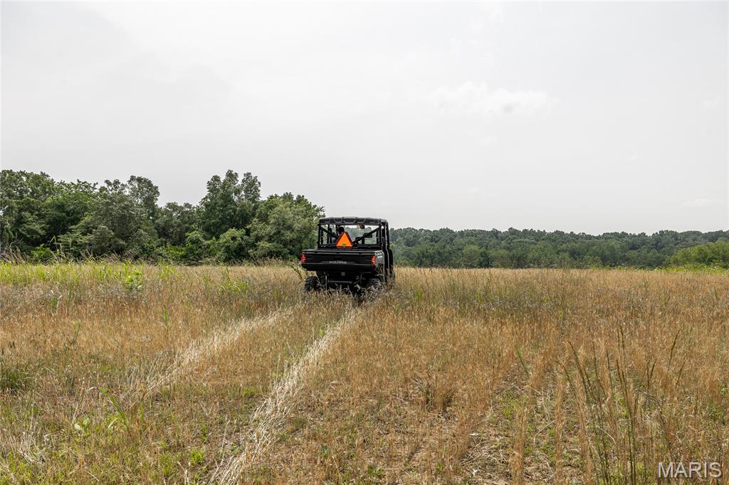 3485 Coyle Lane Equality, IL 62934 - Photo 37 of 58