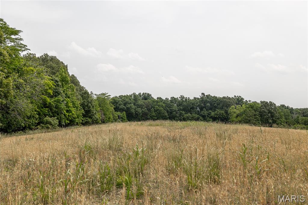 3485 Coyle Lane Equality, IL 62934 - Photo 39 of 58