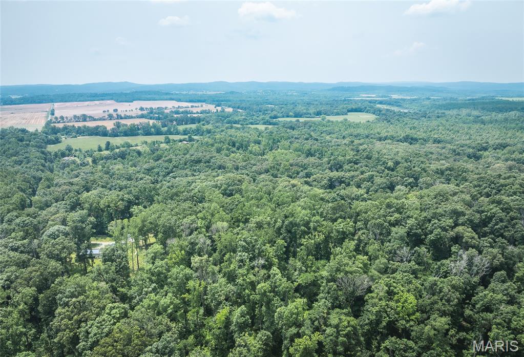 3485 Coyle Lane Equality, IL 62934 - Photo 40 of 58