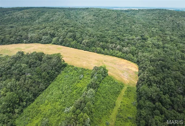 $1,800,000 | 3485 Coyle Lane, Equality, IL 62934