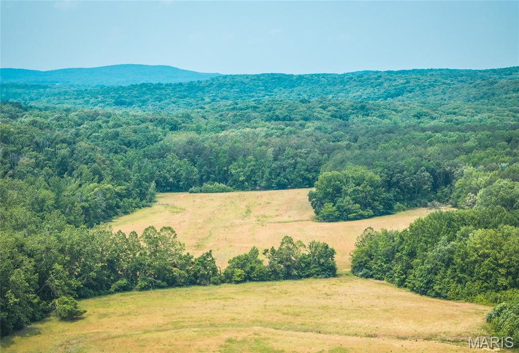 3485 Coyle Lane Equality, IL 62934 - Photo 43 of 58