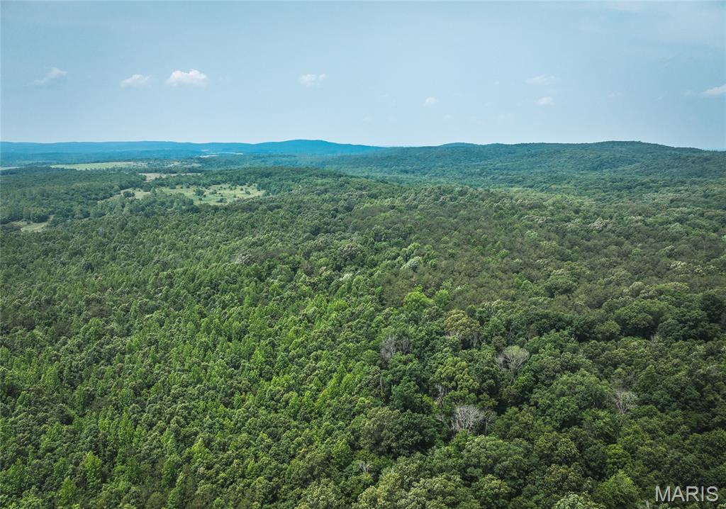 3485 Coyle Lane Equality, IL 62934 - Photo 47 of 58