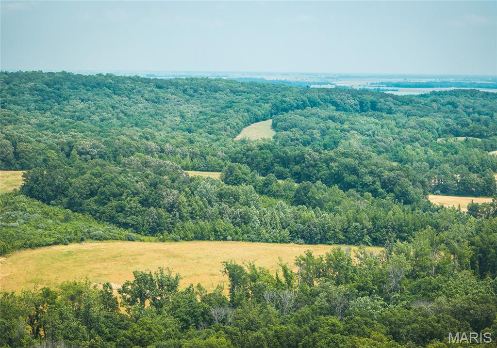 3485 Coyle Lane Equality, IL 62934 - Photo 48 of 58