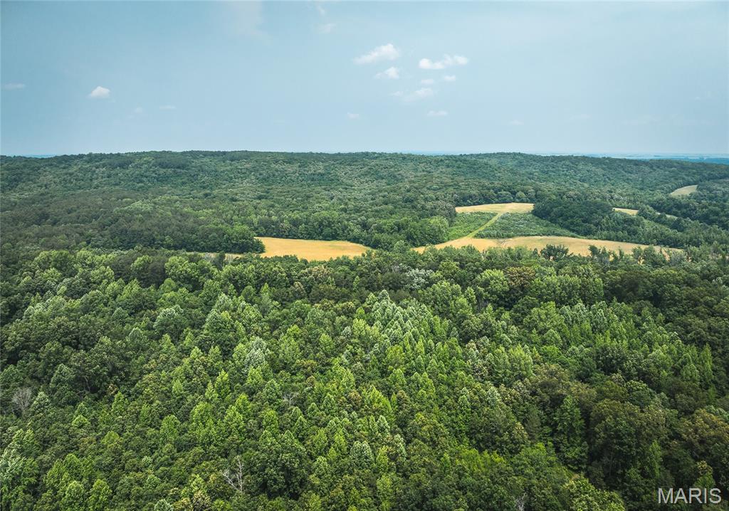 3485 Coyle Lane Equality, IL 62934 - Photo 49 of 58