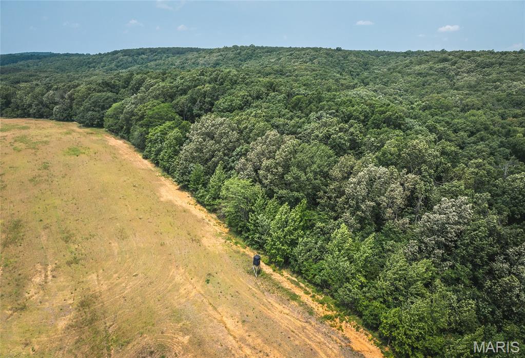 3485 Coyle Lane Equality, IL 62934 - Photo 52 of 58