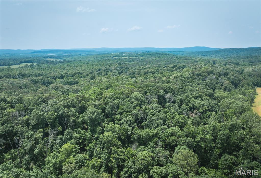 3485 Coyle Lane Equality, IL 62934 - Photo 54 of 58