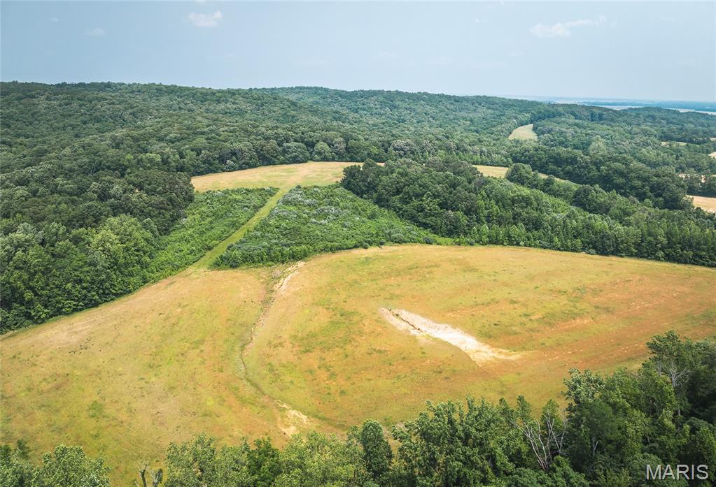 3485 Coyle Lane Equality, IL 62934 - Photo 56 of 58