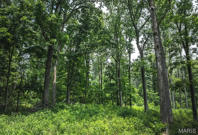 $1,800,000 | 3485 Coyle Lane, Equality, IL 62934