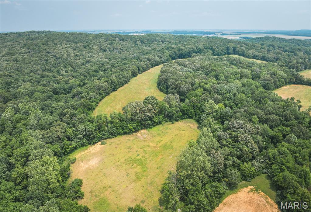 3485 Coyle Lane Equality, IL 62934 - Photo 10 of 58