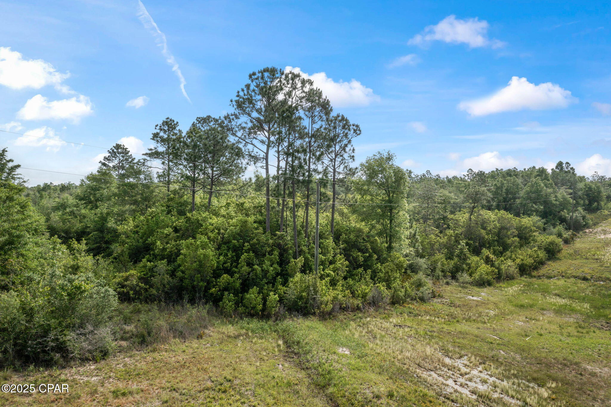 3715 Orange Hill Road Chipley, FL 32428 - Photo 18 of 21