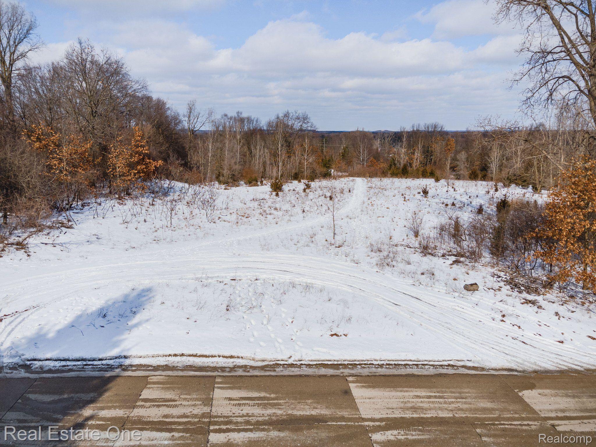0 Williams Lake Road White Lake, MI 48386 - Photo 5 of 13