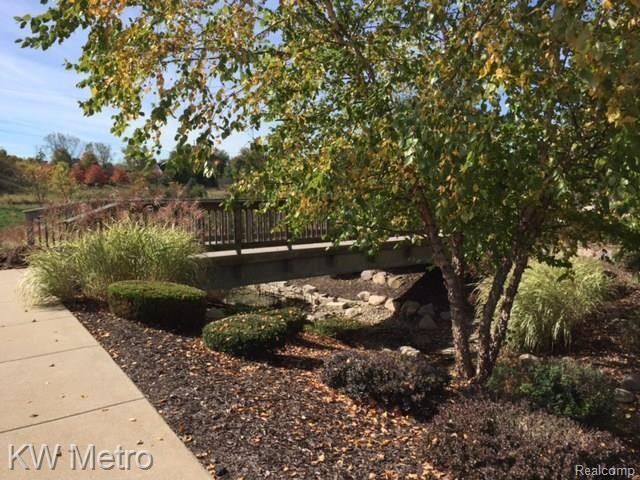 45451 North Stonewood Road Canton, MI 48187 - Photo 14 of 16 IMG_3680.JPG