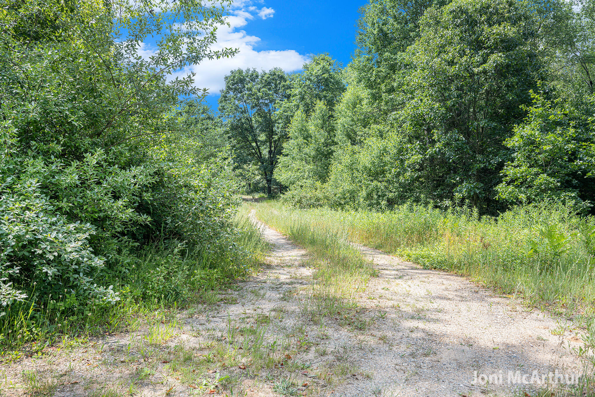 V/l Johnson Road Gowen, MI 49326 - Photo 2 of 6 Johnson Rd.
