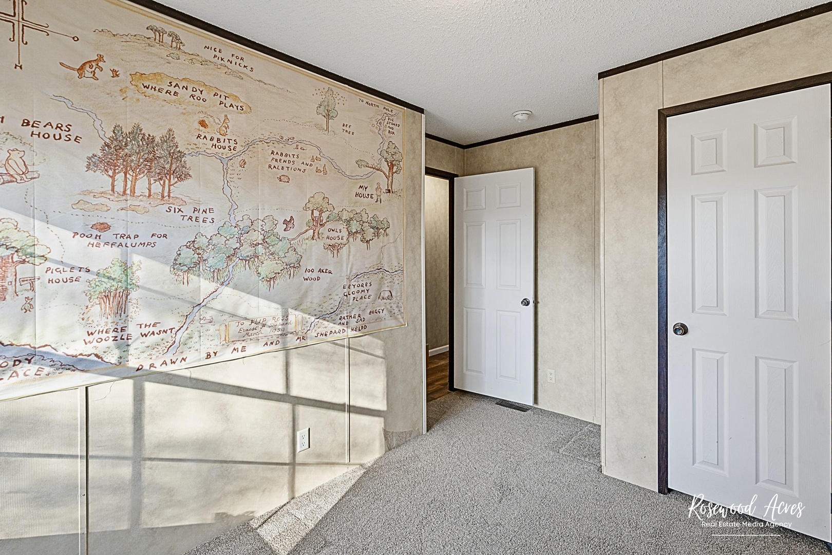 34 Vee Drive Manteno, IL 60950 - Photo 6 of 24