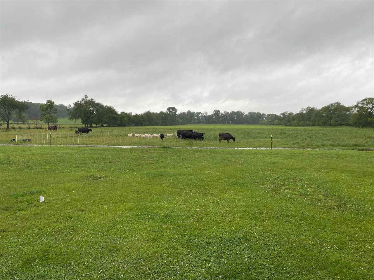 10240 30 Mile Road Homer, MI 49245 - Photo 23 of 24 Photo 23