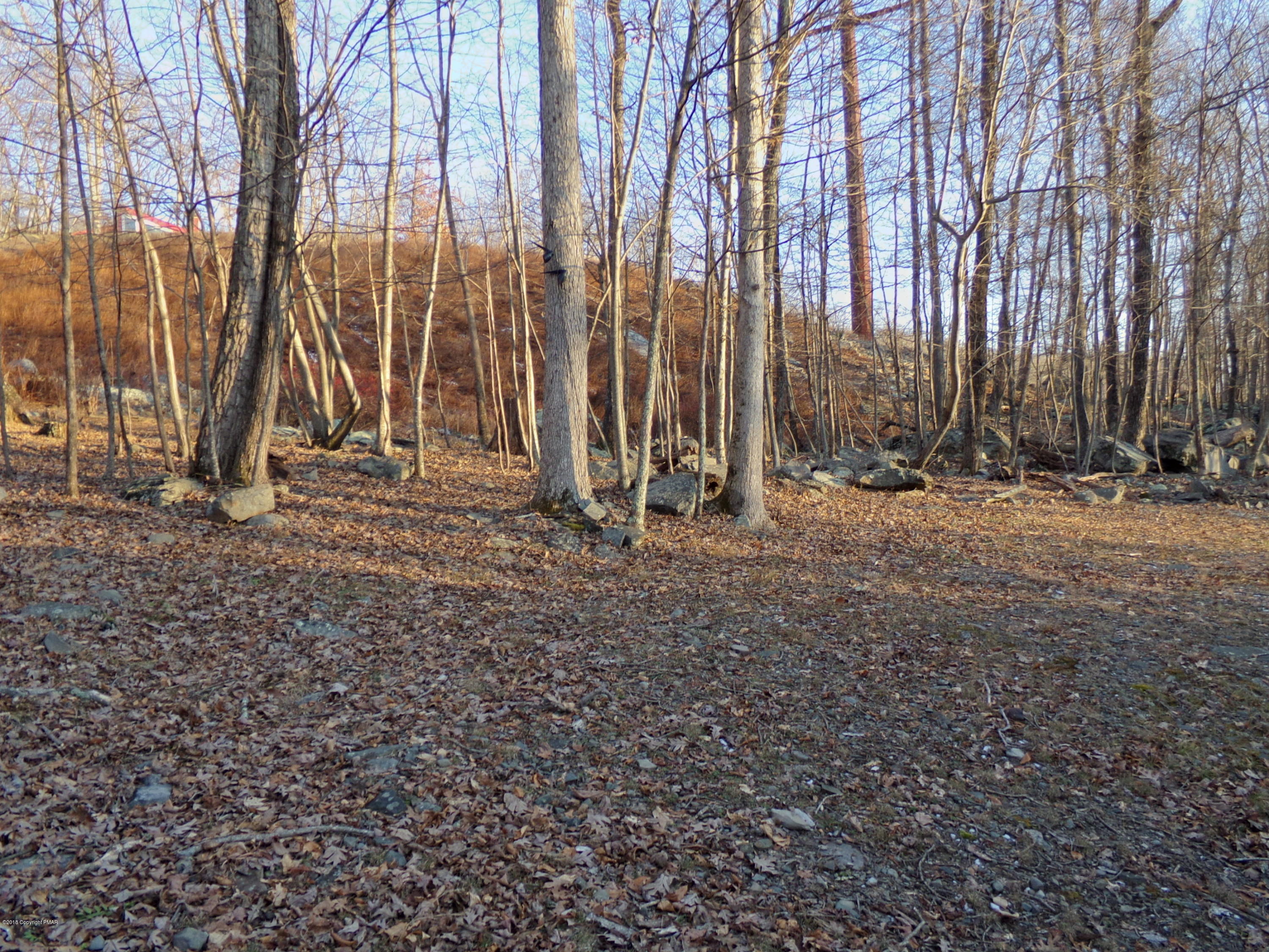 4152 Winchester Way Bushkill, PA 18324 - Photo 4 of 23 a backyard of a house with lots of green space