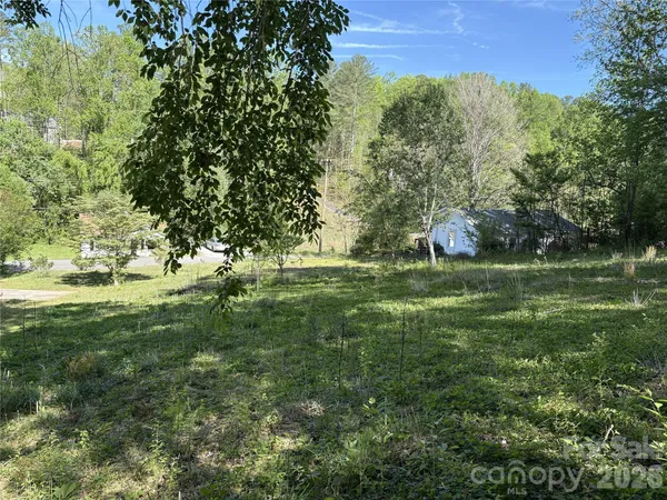 a large green field with lots of trees