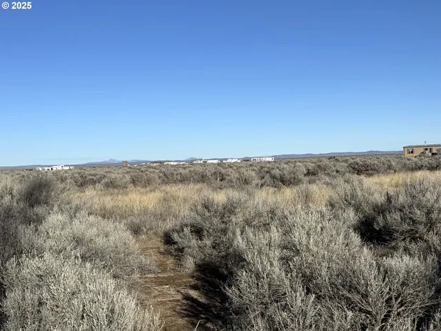 a view of a dry field with trees in the background