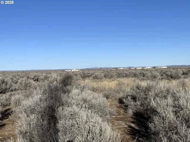 a view of ocean and green space