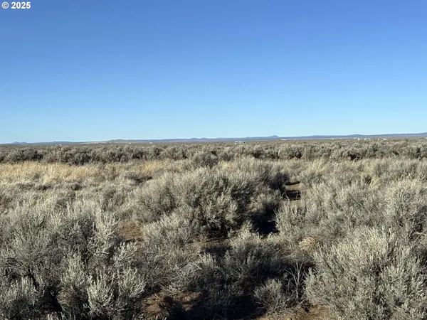 $23,000 | Christmas Valley Highway, Unit TL1601, Christmas Valley, OR 97641