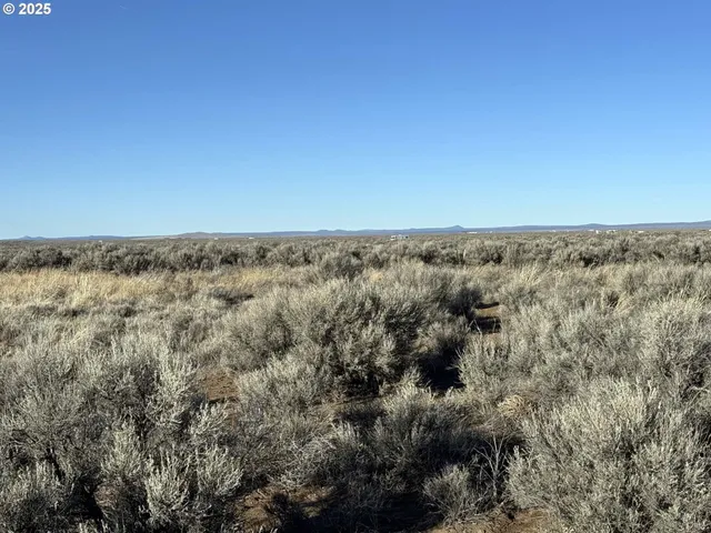 a view of a dry yard with wooden floor