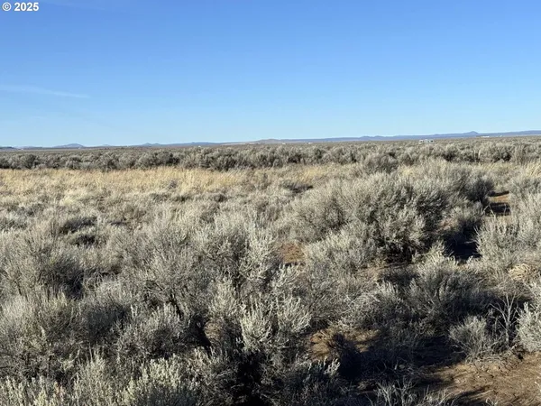 $23,000 | Christmas Valley Highway, Unit TL1601, Christmas Valley, OR 97641