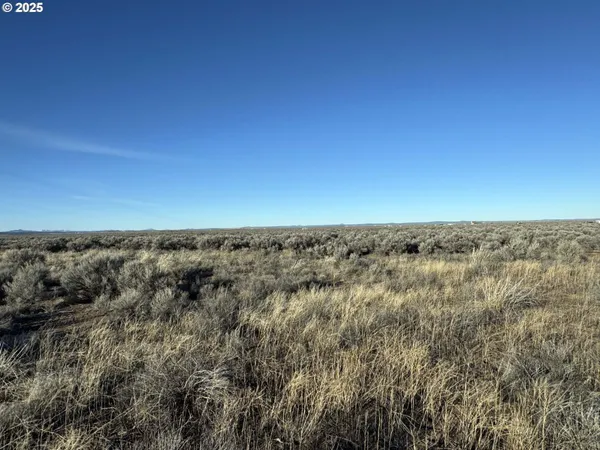 $23,000 | Christmas Valley Highway, Unit TL1601, Christmas Valley, OR 97641