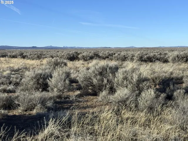 a vase of flowers sitting on a table