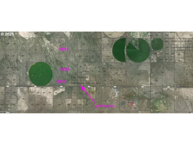 a view of outdoor space and outdoor space