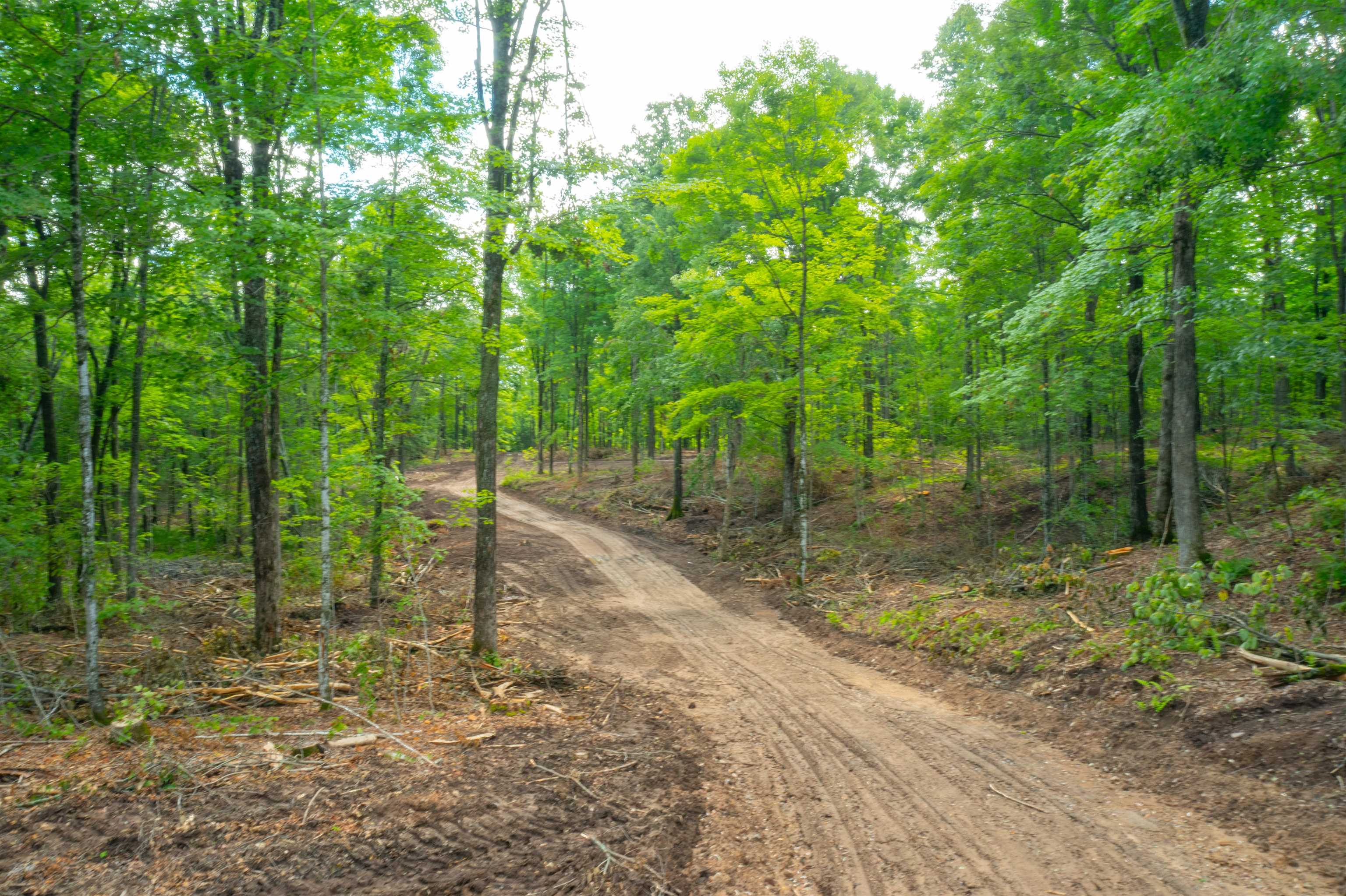 W799 Barker Avenue Merrill, WI 54452 - Photo 50 of 60