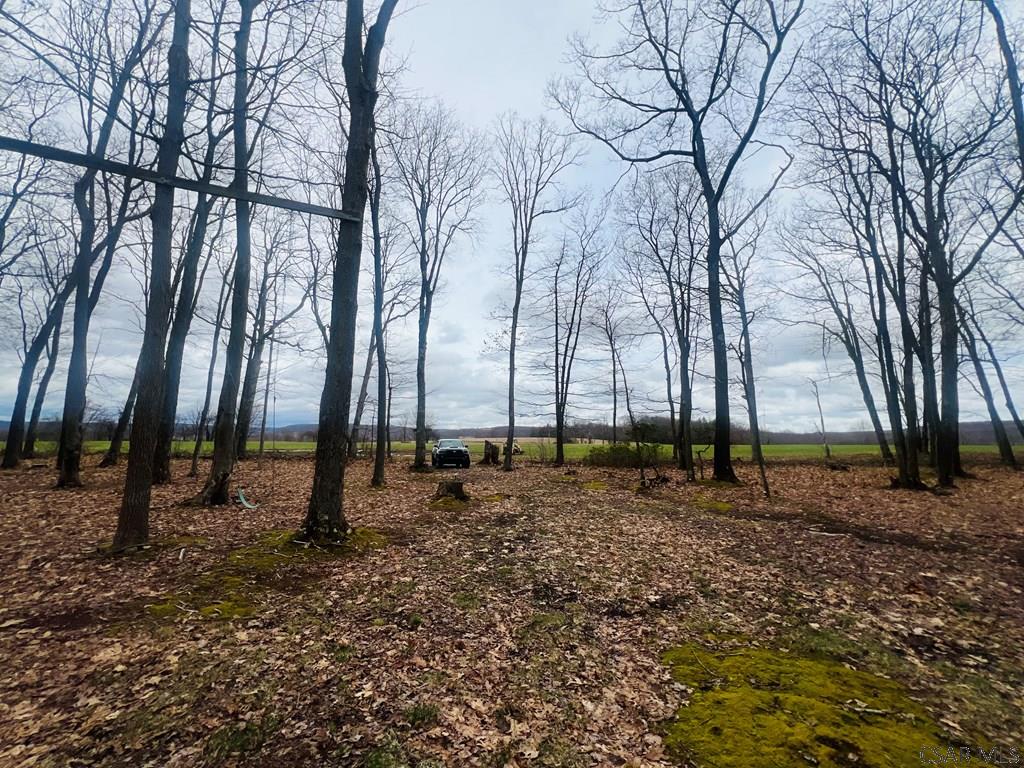 0 Resh Road Fort Hill, PA 15540 - Photo 12 of 17 Gallery Image 12