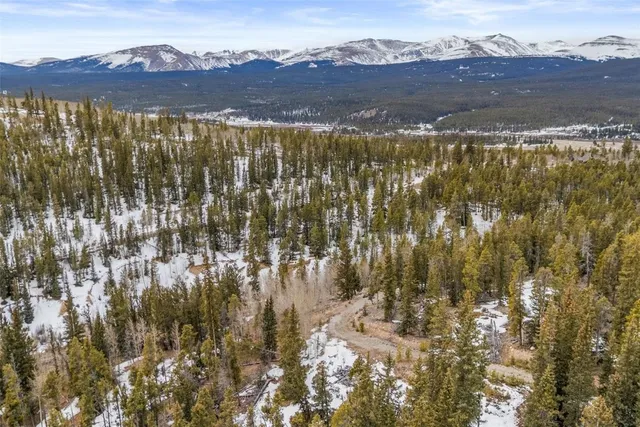 a view of a bunch of flowers