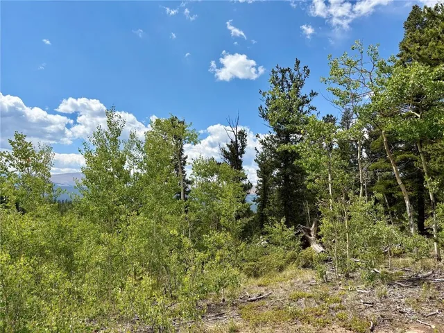 a view of a yard covered with snow in the background