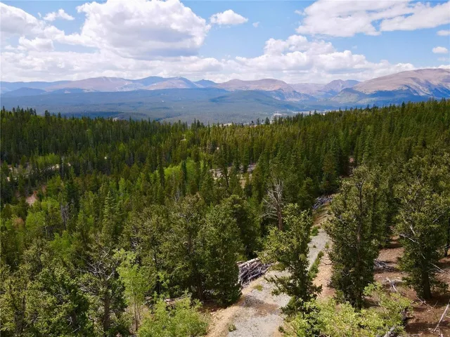 a wooden floor with some trees in the background