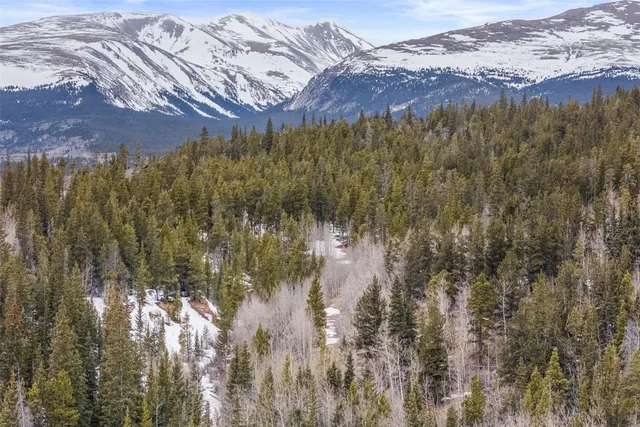 a view of outdoor space with trees